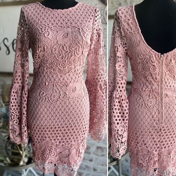 the clothing company Dresses & Skirts - Lace blush pink/lavender color mini dress bell sleeves